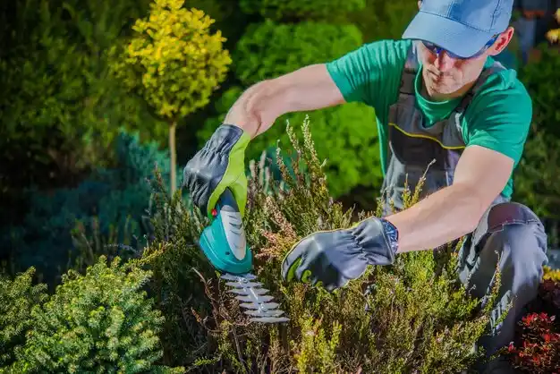 landscaping services Rosebud